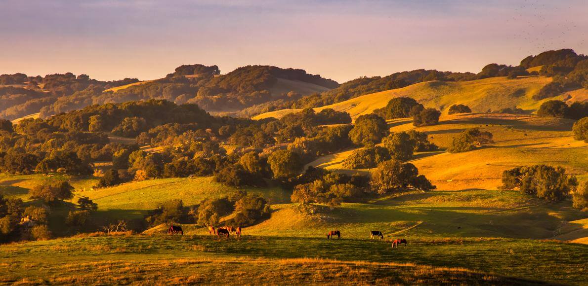 Discover 3 compelling reasons to leave SF/LA