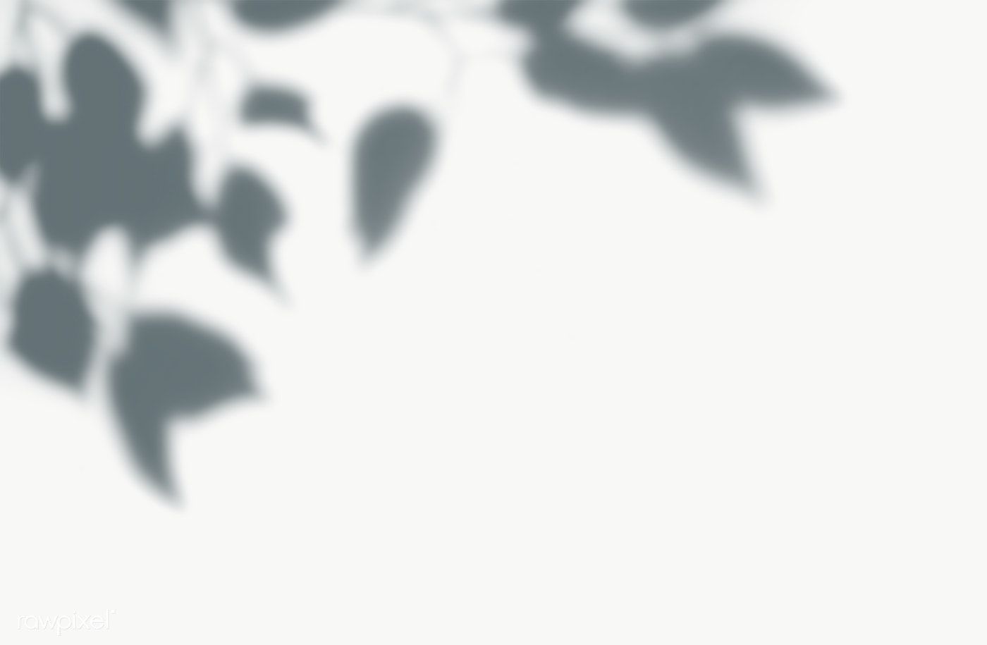 Newsletter background